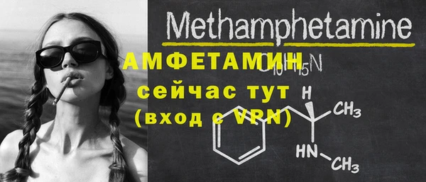 прущие грибы Богданович
