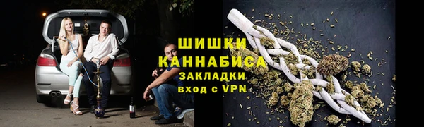 прущие грибы Богданович