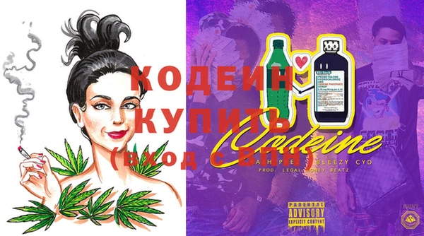 прущие грибы Богданович