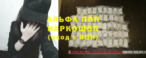 прущие грибы Богданович