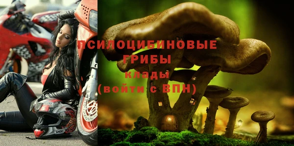 прущая мука Белоозёрский