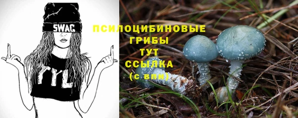 прущая мука Богородск