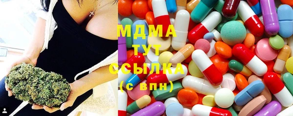 прущие грибы Богданович